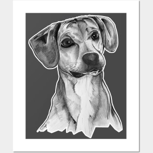 Finn the Beagle Mix Posters and Art